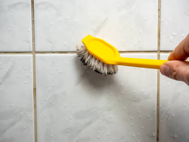 Best Office Mold Removal Services  in Difficult Run, VA