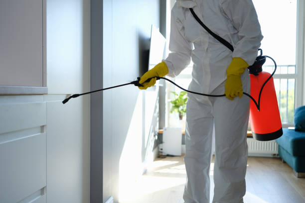 Mold Removal and Inspection in Difficult Run, VA